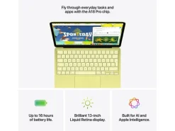 Apple 13