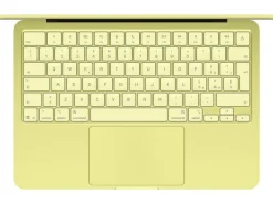 Apple 13