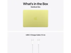 Apple 13
