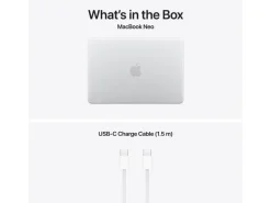 Apple 13