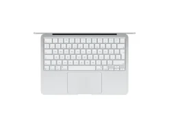 Apple 13