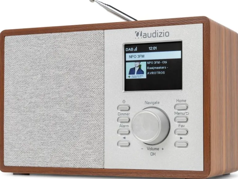Audizio Cosa-WD Braun