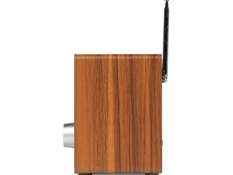 Audizio Cosa-WD Braun