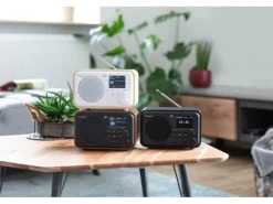 Audizio DAB+ Radio Milan Dunkelbraun/Silber
