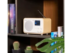 Audizio DAB+ Radio Milan Dunkelbraun/Silber