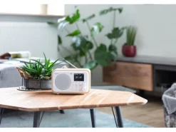 Audizio DAB+ Radio Milan Dunkelbraun/Silber