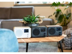 Audizio DAB+ Radio Milan Dunkelbraun/Silber