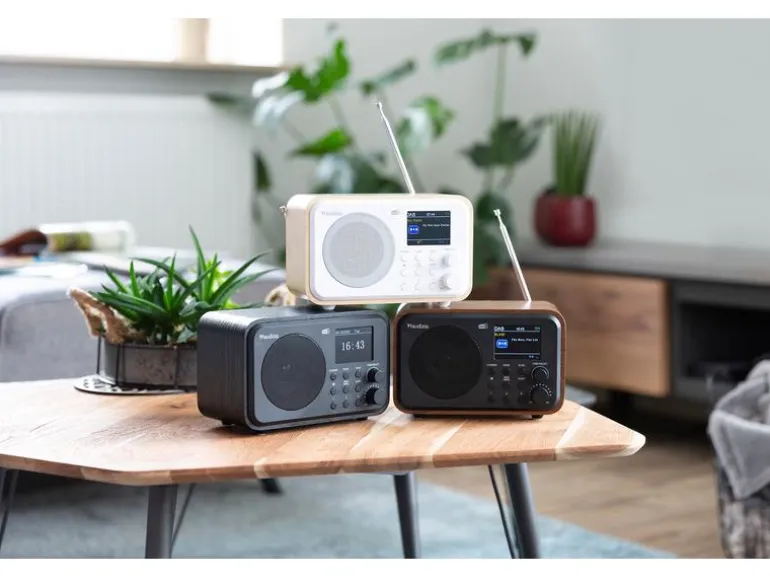 Audizio DAB+ Radio Milan Dunkelbraun/Silber