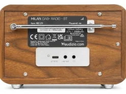 Audizio DAB+ Radio Milan Dunkelbraun/Silber