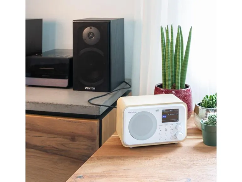 Audizio DAB+ Radio Milan Dunkelbraun/Silber