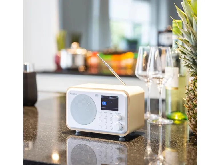 Audizio DAB+ Radio Milan Dunkelbraun/Silber