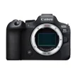 Canon Fotokamera EOS R6 Mark II Kit RF 24-105 L