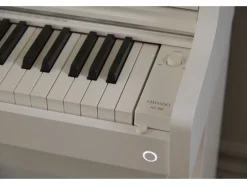 Casio E-Piano CELVIANO AP-300WE