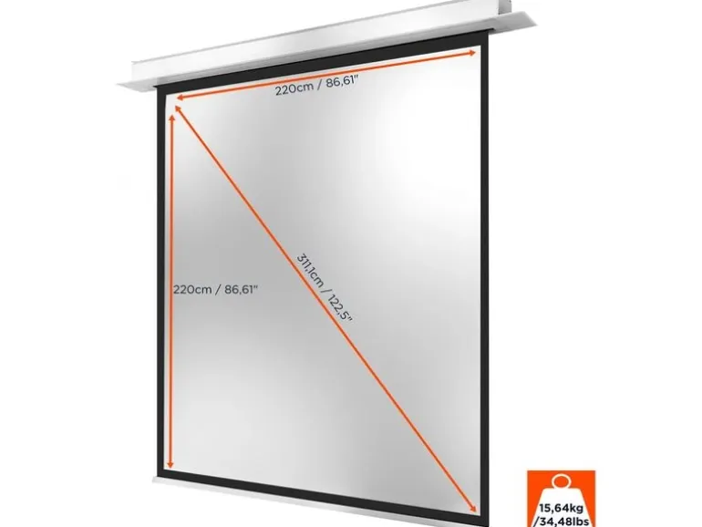 Celexon Deckeinbauleinwand Motor Professional Plus 220x220cm 1:1