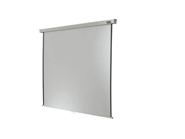 Celexon Rollo-Leinwand Pro 240x240cm 1:1