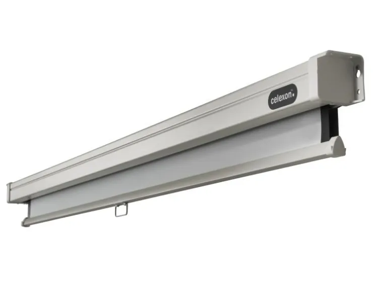 Celexon Rollo-Leinwand Pro 240x240cm 1:1