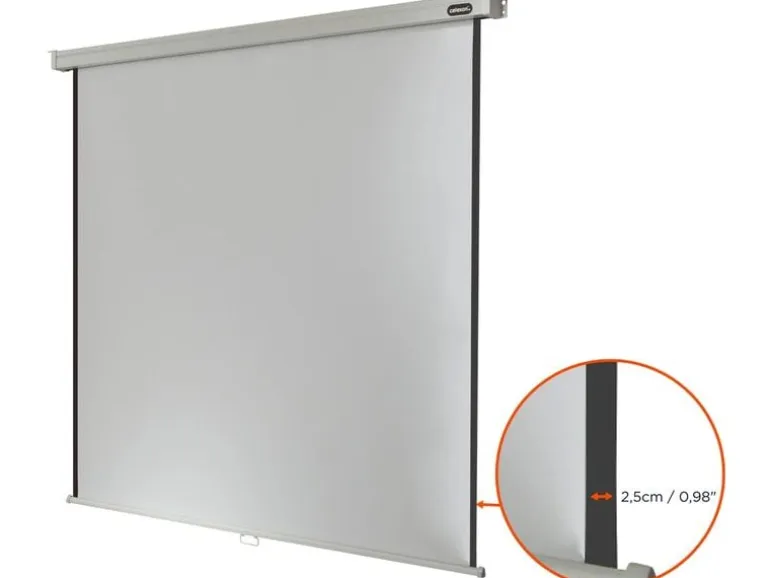 Celexon Rollo-Leinwand Pro 240x240cm 1:1