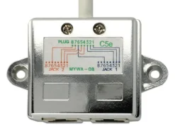 Delock Anschlussverdoppler 2x 100Mbps LAN 1 Stück