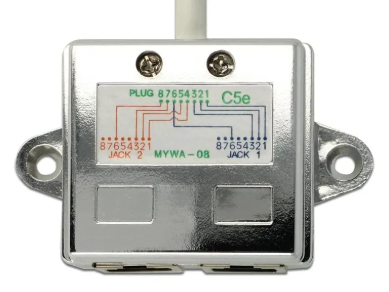 Delock Anschlussverdoppler 2x 100Mbps LAN 1 Stück