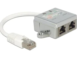 Delock Anschlussverdoppler 2x 100Mbps LAN 1 Stück