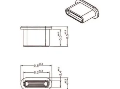 Delock Blindstecker/Staubschutz USB-C 10 Stück Schwarz