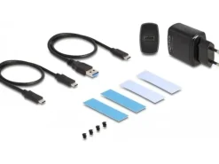 Delock Externes Gehäuse 2x M.2 NVMe PCIe SSD USB-C 20 Gbps M.2