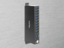 Delock Industrie Hub (10 x USB 5 Gbps Typ-A)