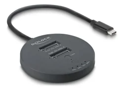 Delock M.2 Dockingstation USB 20 Gbps, 2x NVMe PCIe SSD