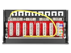 Delock Patchpanel 8-Port Desktop/DIN-Rail/Wand
