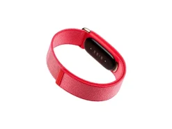 Fitbit Air Rot