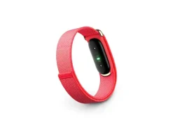 Fitbit Air Rot