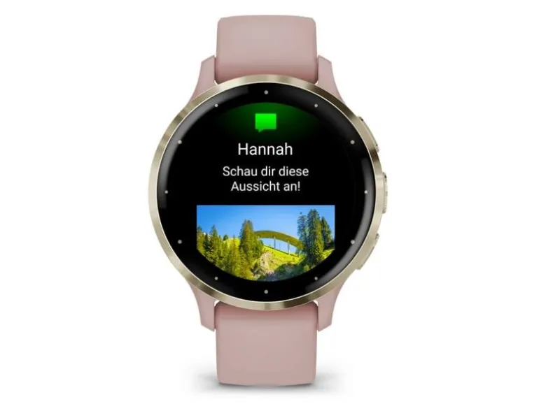 GARMIN Sportuhr Venu 3S Dust Rose / Softgold