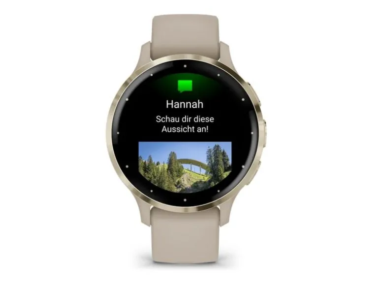 GARMIN Sportuhr Venu 3S French Gray / Softgold