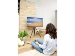 Hama Technics AG TV-Ständer (Staffelei) 75