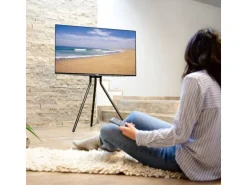 Hama Technics AG TV-Ständer (Staffelei) 75