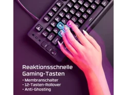HyperX Eve 1800 RGB-LED USB Typ-C Schwarz