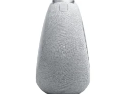 JBL DAB+ Radio Horizon 3 Grau
