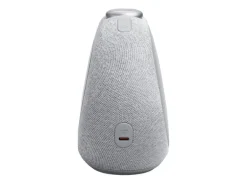 JBL DAB+ Radio Horizon 3 Grau