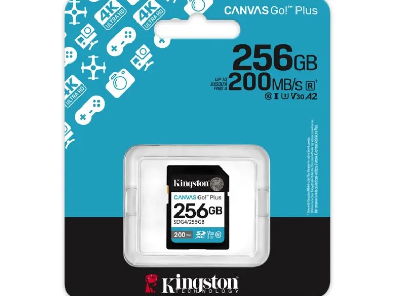 Kingston SDXC-Karte Canvas Go! Plus 256 GB