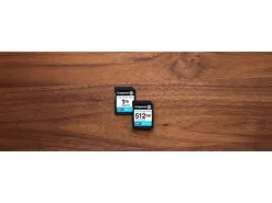Kingston SDXC-Karte Canvas Go! Plus 512 GB