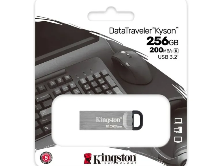 Kingston USB-Stick DataTraveler Kyson 256 GB