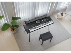 Korg Keyboard Pa5X 61 International