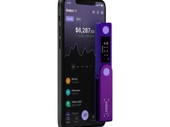 Ledger Nano X Amethyst Purple