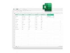 Microsoft Office Home 2024 ESD, Vollversion, ML