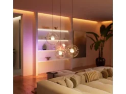 Philips Hue Wandschaltermodul NC 6A 2-Kanal weiss