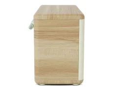 Pure DAB+ Radio Classic H4 Eiche/Weiss