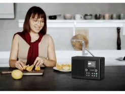 Pure DAB+ Radio Classic H4i Schwarz/Esche Schwarz