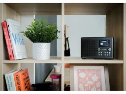 Pure DAB+ Radio Classic H4i Schwarz/Esche Schwarz