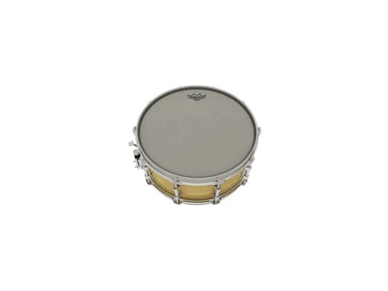 Remo Ambassador Renaissance 16"