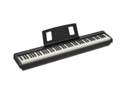Roland E-Piano FP-10